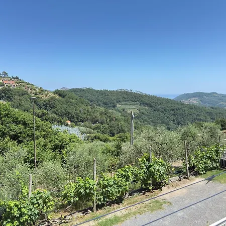 Garden & Seaview - Relax For Bikers And Families Апартаменты *